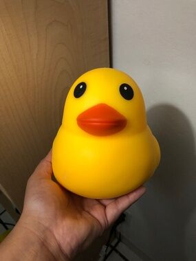 SUNNY DAYS DUCK Squishy Toy